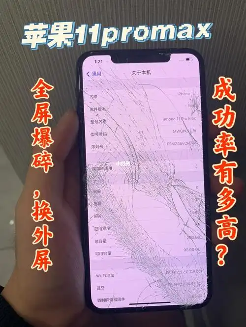 max,因为摔的太严重,内屏已经出现了两处小漏液,因为太碎的原因 屏幕