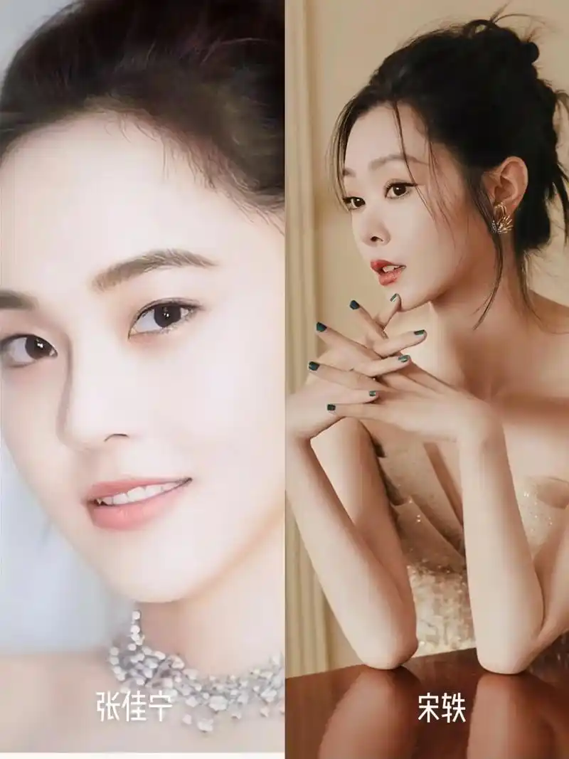 宋轶张佳宁傻傻分不清.真的觉得俩人哪非常相似?气质?长相?# - 抖音