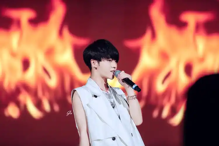 华晨宇# 20150808宁波罗蒙环球乐园开业盛… - 堆糖,美图壁纸兴趣