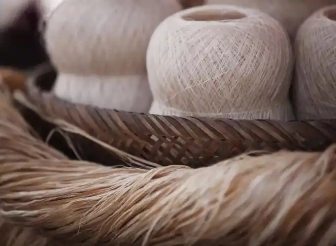 打开网易新闻 查看精彩图片采用国家非遗工艺制作的麻袜用苎麻纤维