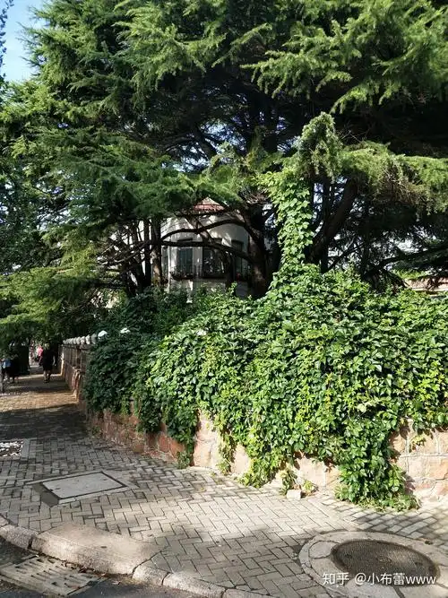 想去青岛旅拍求大神推荐青岛拍摄地点