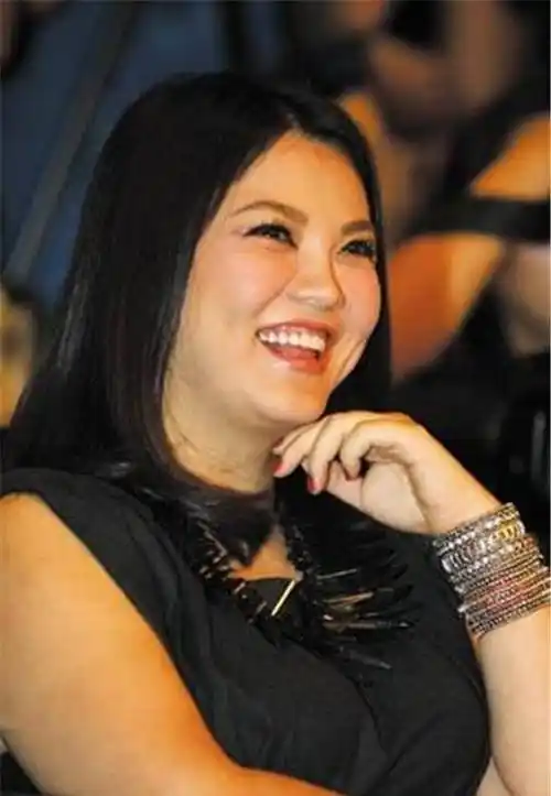 43岁李湘近照曝光身材臃肿体重破二百王岳伦想退货都难