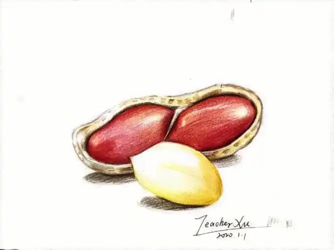 彩铅花生彩铅食物好事发生