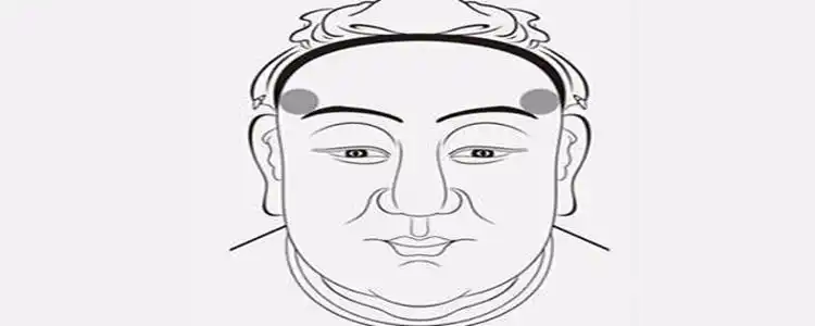 鬓骨在哪个部位