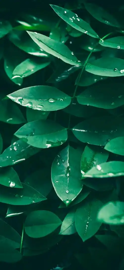 缓解眼睛疲劳壁纸(视疲劳症状及治疗方法)