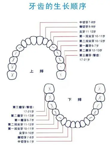 儿童牙齿护理基础常识