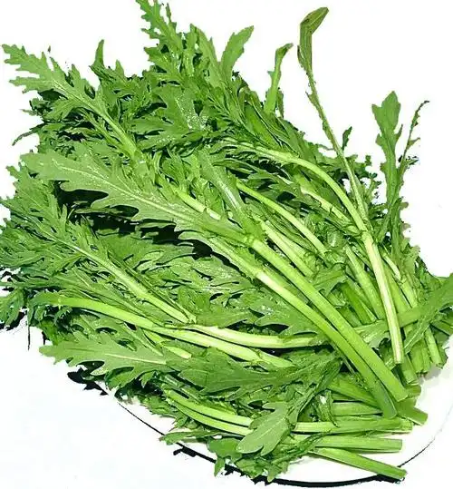 茼蒿营养速查:南瓜营养丰富且全面,果实中含有糖类,维生素,蛋白质以及