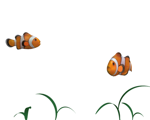 热带鱼动画 - 图片素材 - 锐普ppt论坛 - powered by discuz!