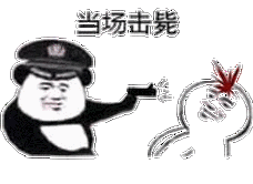 当场击毙当场逮捕当场击毙逮捕表情