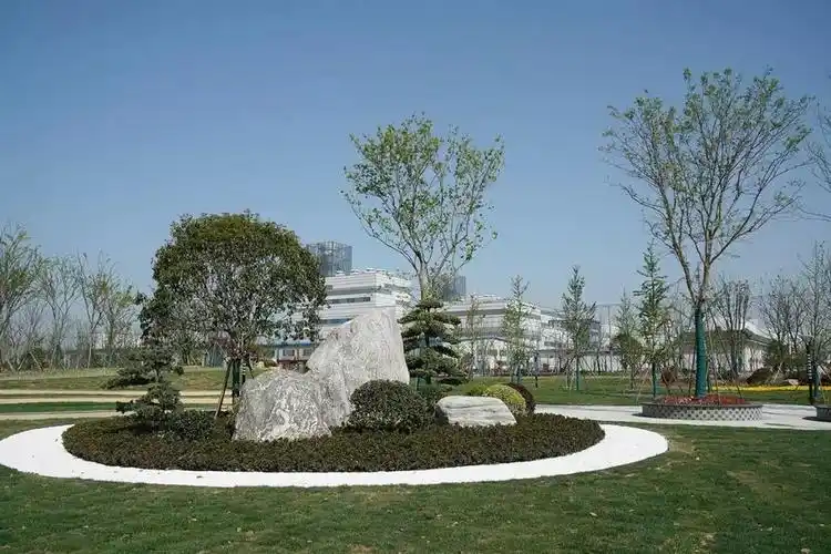 奉贤区金汇镇南行港公园宣告落成