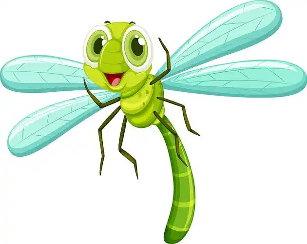 蜻蜓带着快乐的脸图片