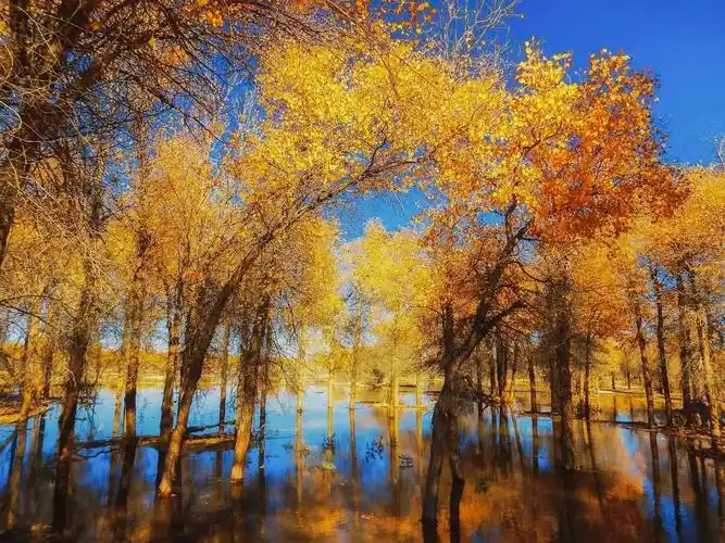 小知识:内蒙古阿拉善必去的五大景点(阿拉善知名风景区游玩攻略)-图4