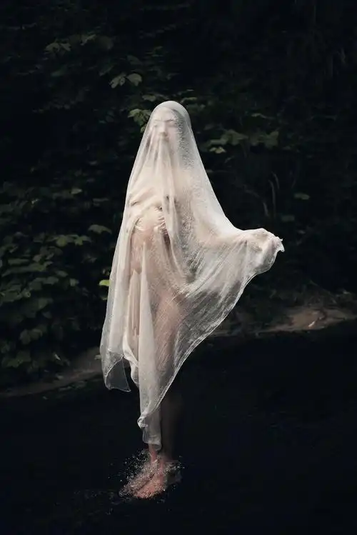 标题:带面纱的女人在水边