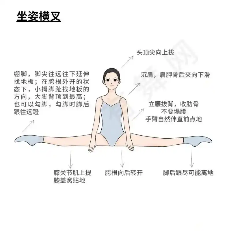 基本功图图解(详细解析)#一字马#舞蹈#舞蹈基本功图片#基本 - 抖音