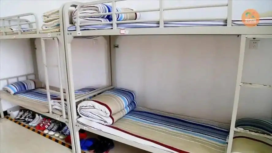 探校揭秘省实验中学的网红食堂打卡温馨宿舍