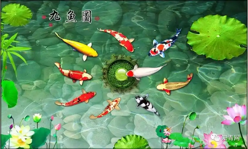 2018年快到了,送你罕见的九鱼送福图,看到的人太有福了 , 值得收藏!