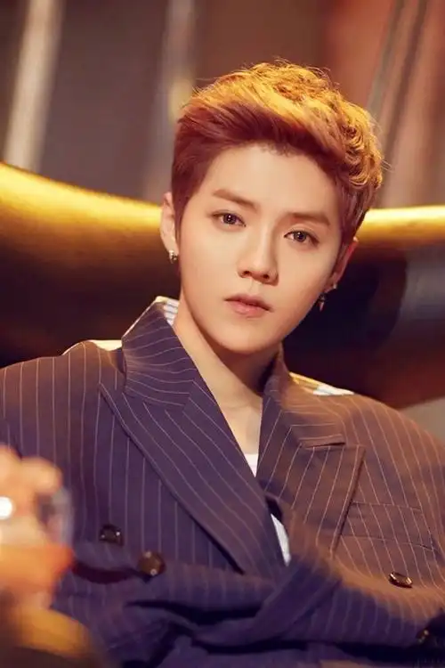 鹿晗 霸道总裁 「喜欢他点赞」