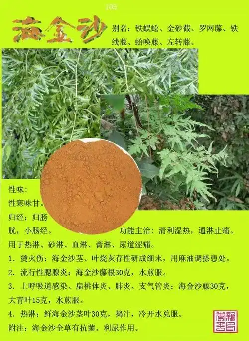 常用中草药300种图谱