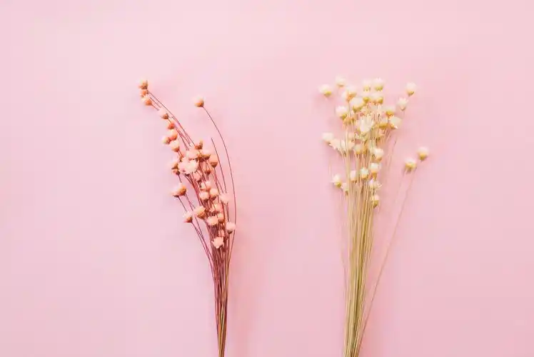 文艺小清新干花背景图片背景素材图案素材干花小清新碎花