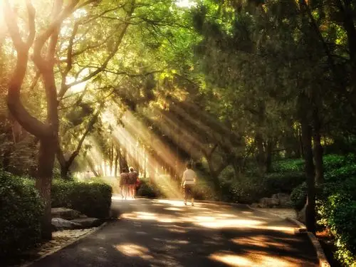 清晨的第一缕霞光