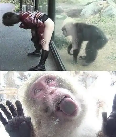 恶搞笑图片大全笑话_搞笑恶搞笑图片大全精选_爆笑恶搞笑图片大全大全