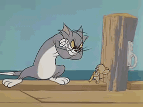 猫和老鼠汤姆与杰瑞起飞生气gif动图_动态图_表情包下载_soogif