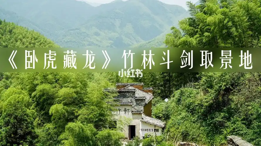 木坑竹海电影卧虎藏龙取景地