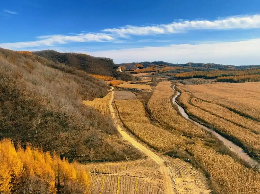 林口到牡丹江高铁沿线的秋季景色, - 抖音