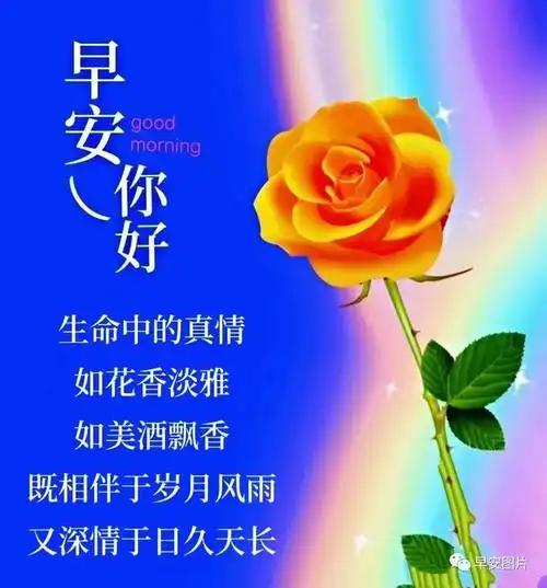 9月25日早安唯美问候祝福语图片大全健康最值钱用心爱自己开心每一天