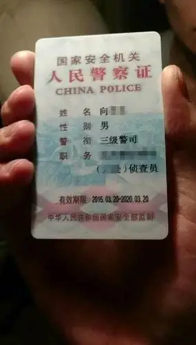 泸州吸毒男冒充"国安人员"对民警大吼:你们退下