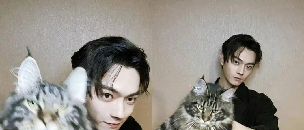 淘宝模特起家,身陷家暴黑历史,许凯与吴谨言,白鹿的关系曝光_延禧