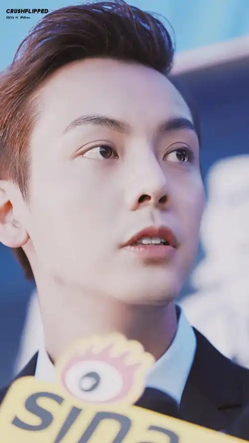 陈伟霆个人简介结婚了吗 陈伟霆个人简介