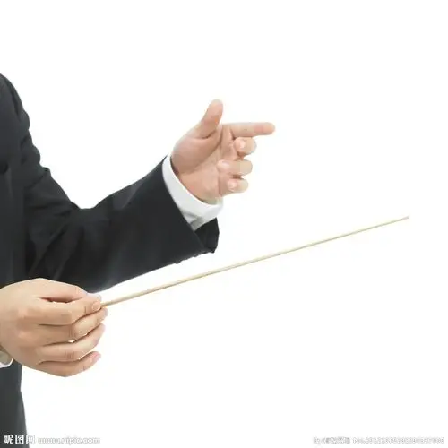 指挥家指挥手势图片