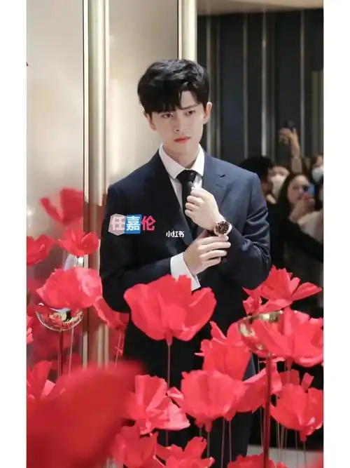 漫改任嘉伦照片