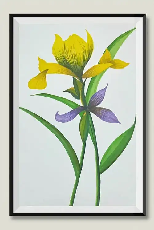 彩铅,简约装饰画作品集