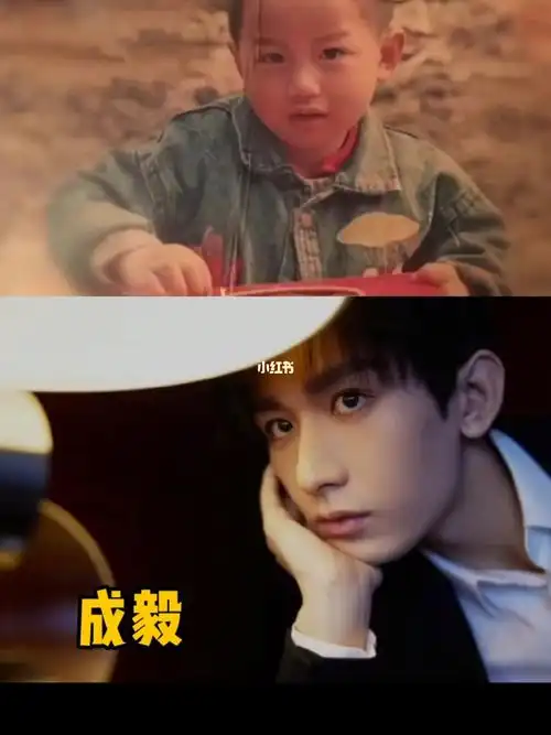 明星  #小时候vs长大  #成毅  #王鹤棣