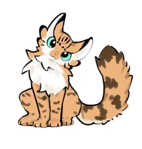 我会分享一些猫头鹰猫 - 半次元 - acg爱好者社区