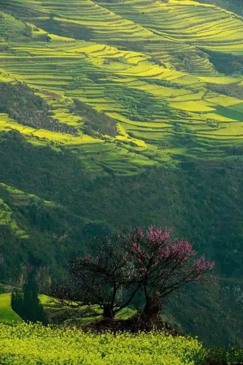 中国最美的这50个地方,我去过16个,你呢?