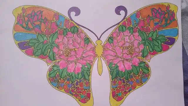 美丽的轴对称图形