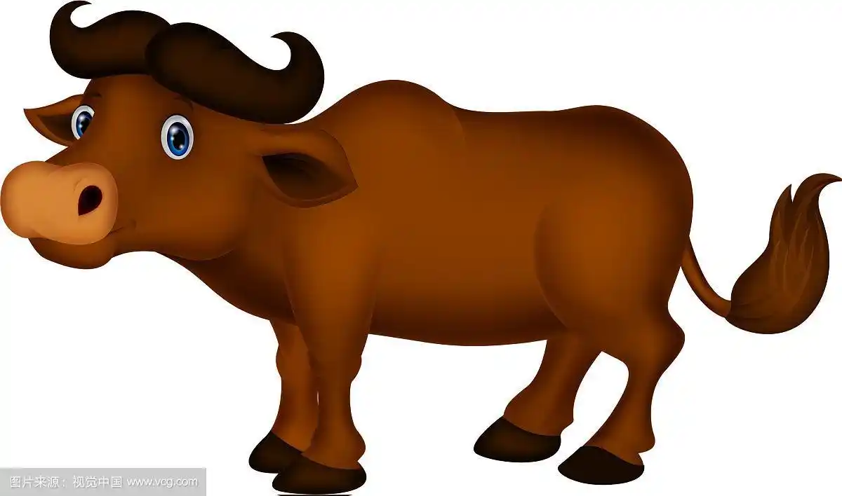水牛卡通
