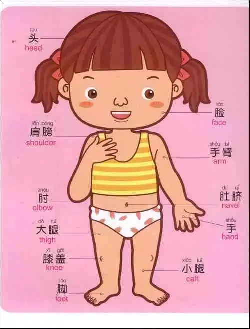 2,我们的身体每个部位有什么作用呢?