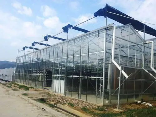 温室大棚钢结构