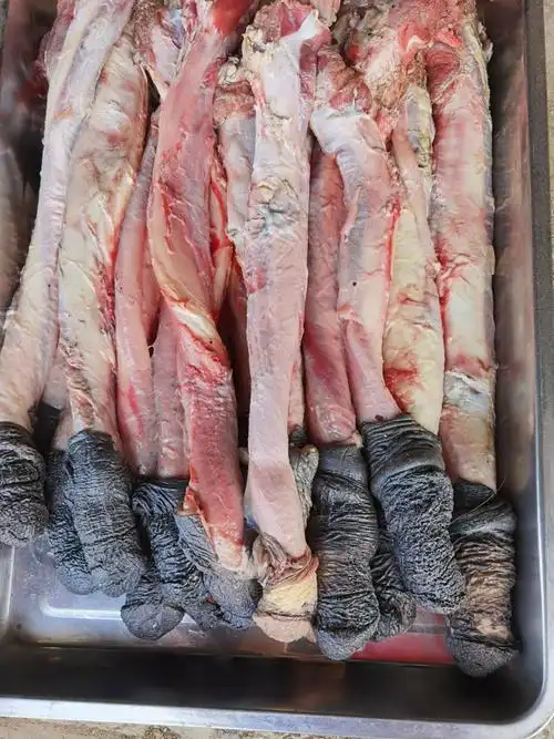 现杀新鲜驴鞭光杆带蛋蛋都有完整粗大精修去油