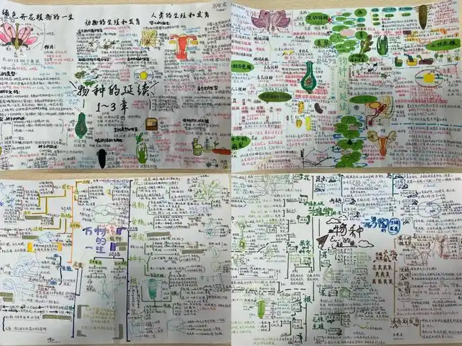 巧思见智慧导图展风采济南一中初中部举行生物学科思维导图大赛