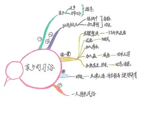 小蜗牛②班六下单元作文(配上思维导图)