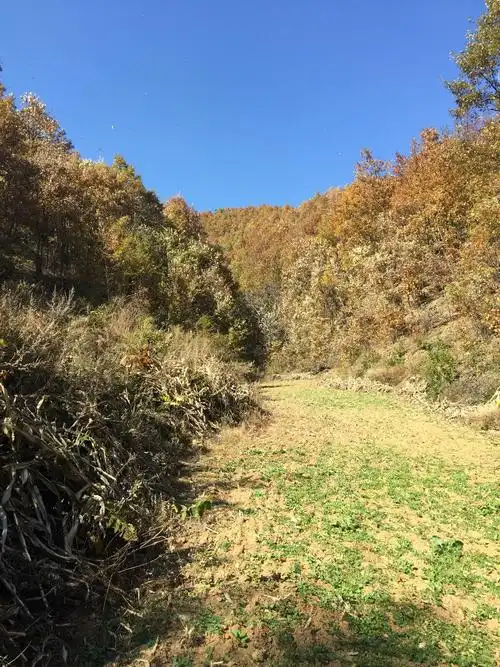 农村大山里秋天的景色