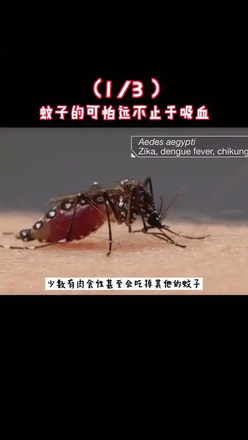 生物危害#世界上危害最大的生物-蚊子的危害远不止吸血(13)