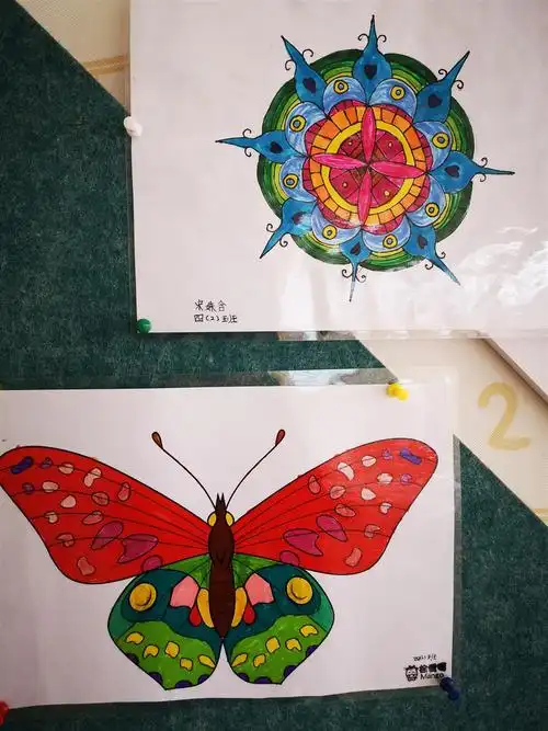 对称创意展丰富想象四年级数学实践活动作品展示