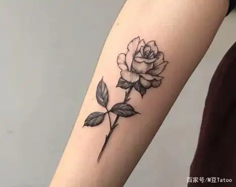 适合女生的小手臂纹身图集