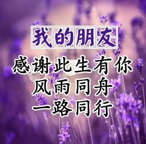 珍惜生命旅途与你相遇.真诚相待的每位朋友,珍惜这一生!